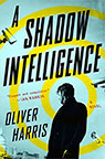 A Shadow Intelligence