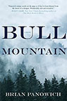 Bull Mountain